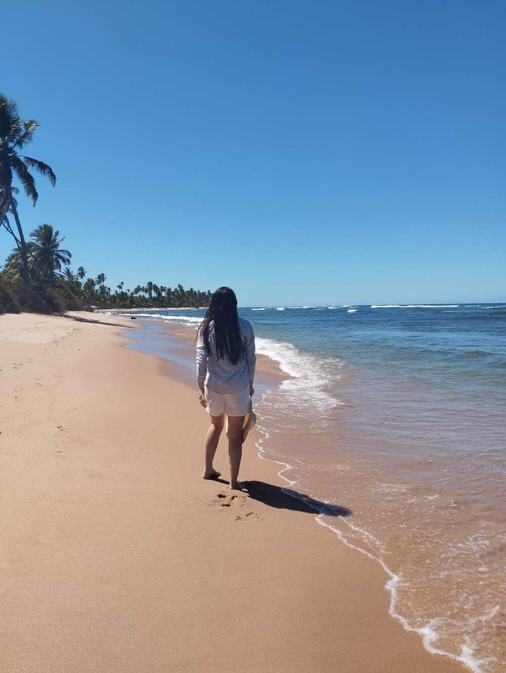 5 Coisas para  fazer em praia do Forte Bahia
